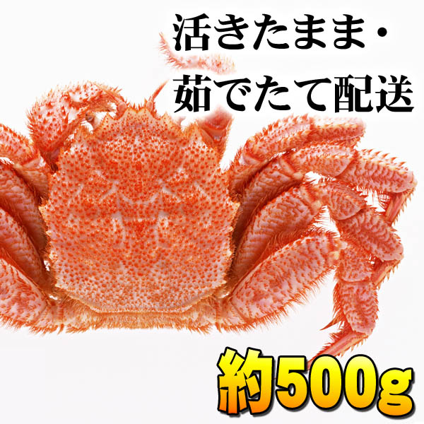 活毛ガニ 中型 活毛ガニ 中型