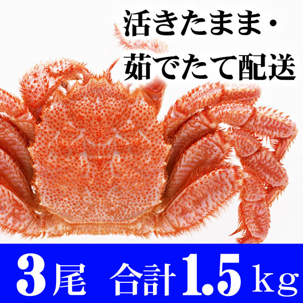 活毛がに 活毛がに