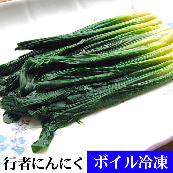 行者にんにく・アイヌネギ 行者にんにく・アイヌネギ
