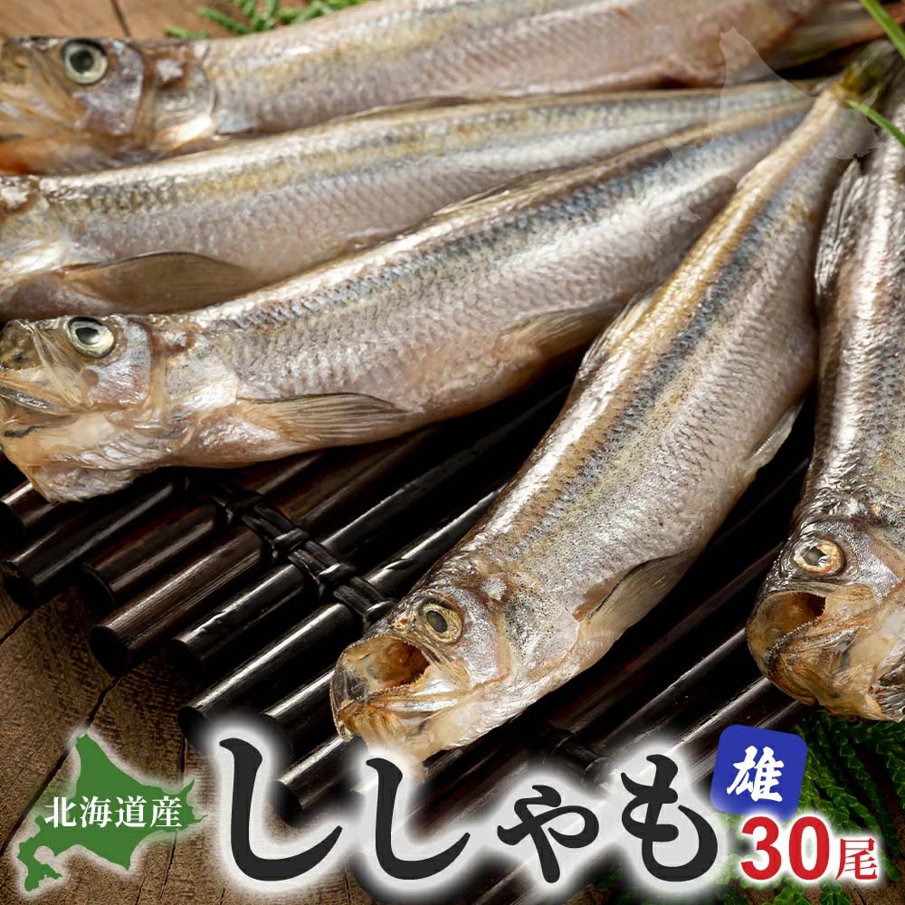 本ししゃも 本ししゃも