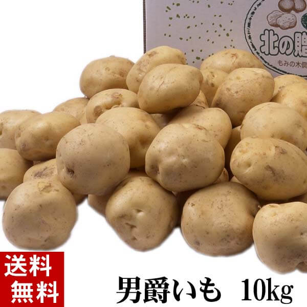 ジャガイモ 男爵いも ジャガイモ 男爵いも