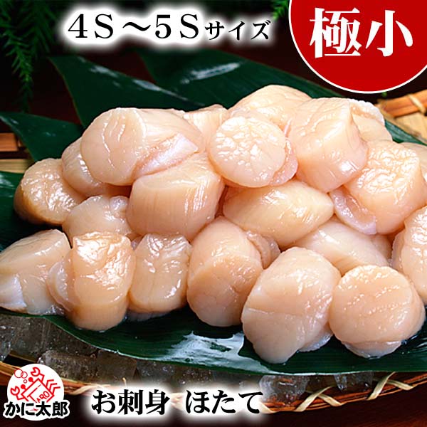 帆立玉冷 お刺身用 帆立玉冷 お刺身用