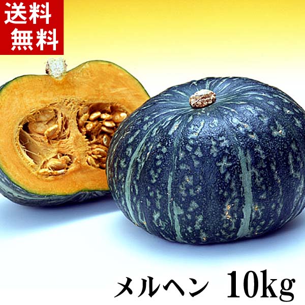 かぼちゃ メルヘン かぼちゃ メルヘン