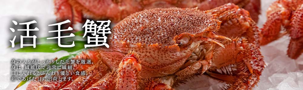 活毛ガニ