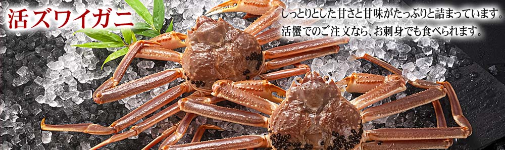 タラバガニ姿 ボイル冷凍 蟹通販