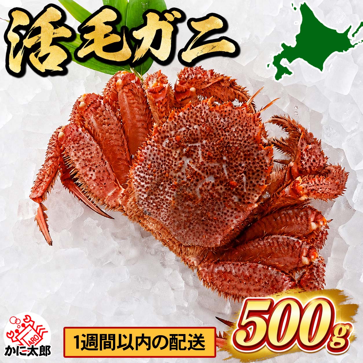 活毛ガニ　中型 かに太郎