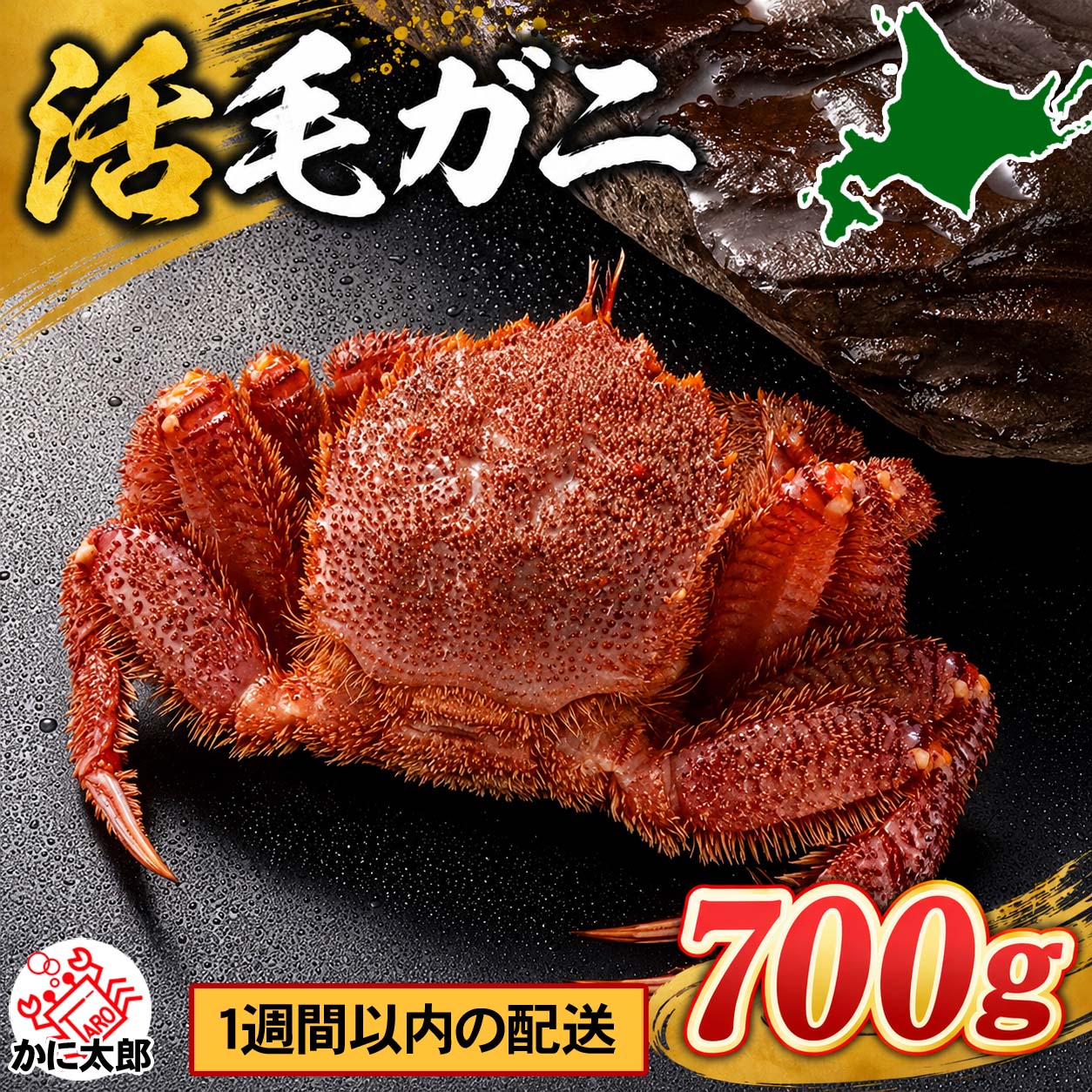 特大サイズの活毛ガニ かに太郎