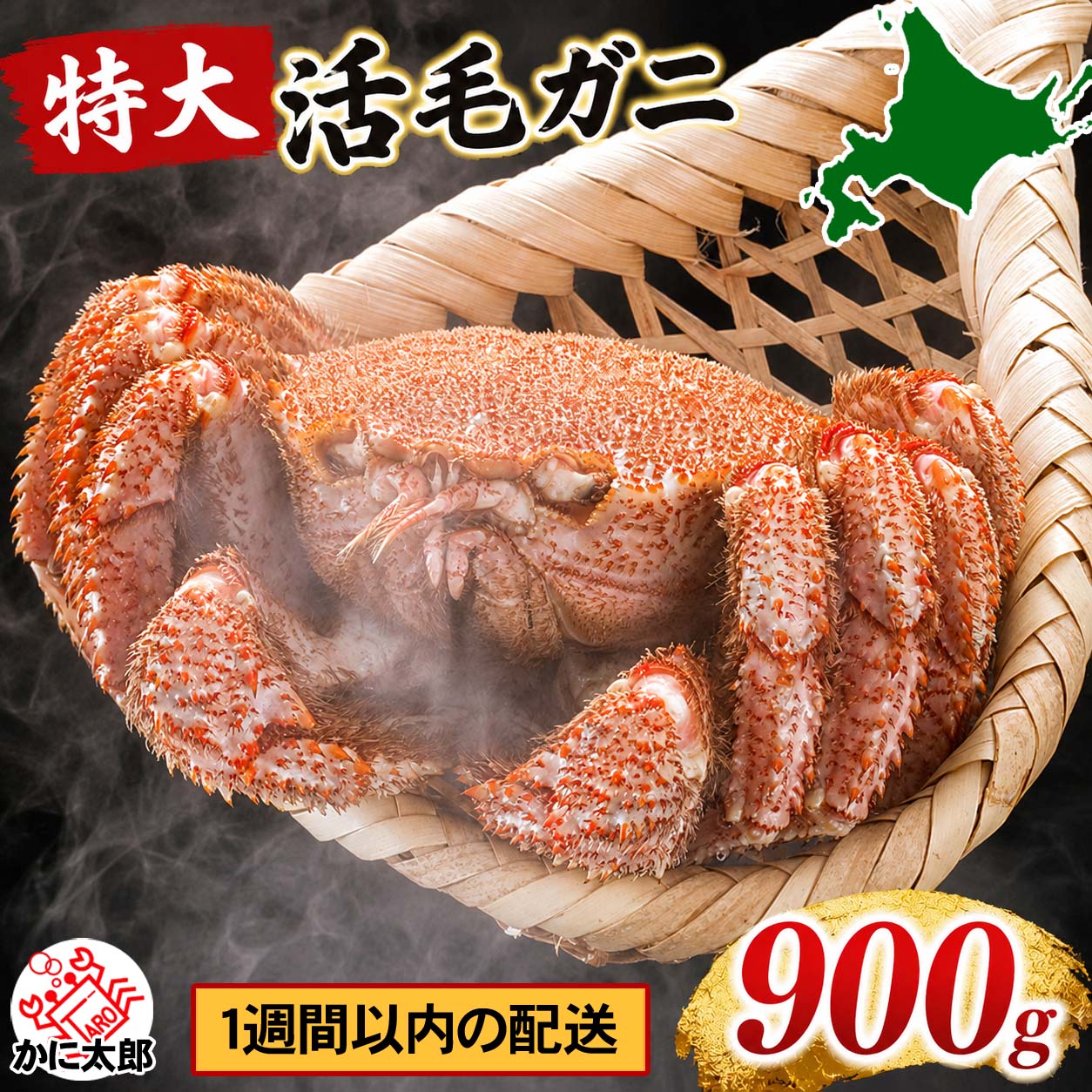 特大サイズ　活毛蟹 かに太郎