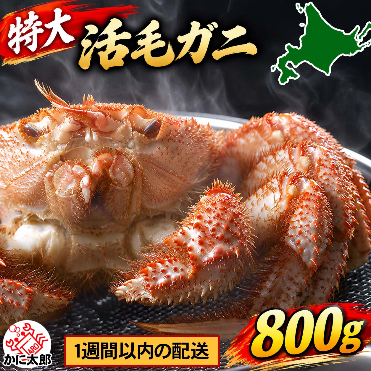 特大サイズの活毛がに かに太郎