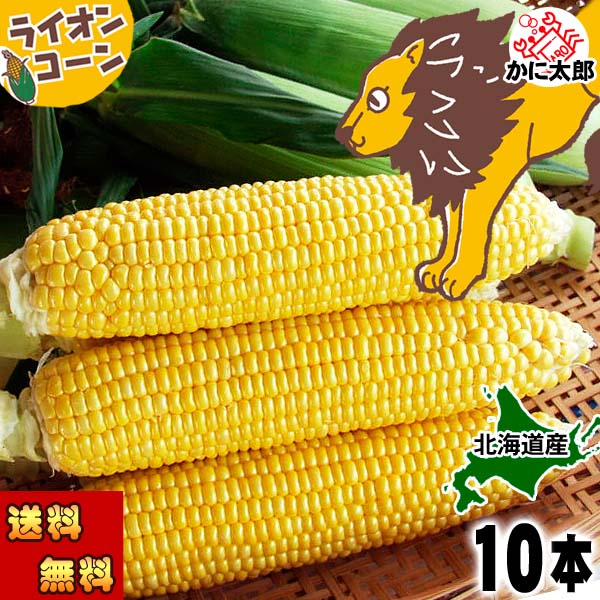 北海道産とうもろこし ゴールドラッシュ