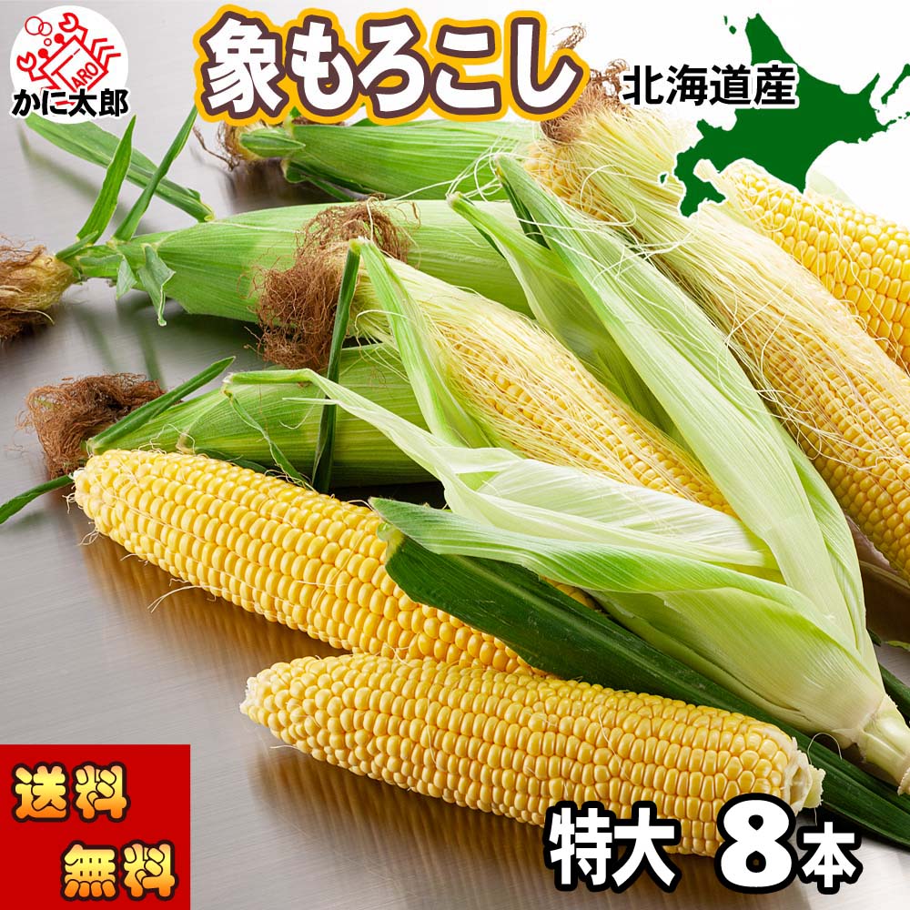 特大サイズ とうもろこしゴールドラッシュ