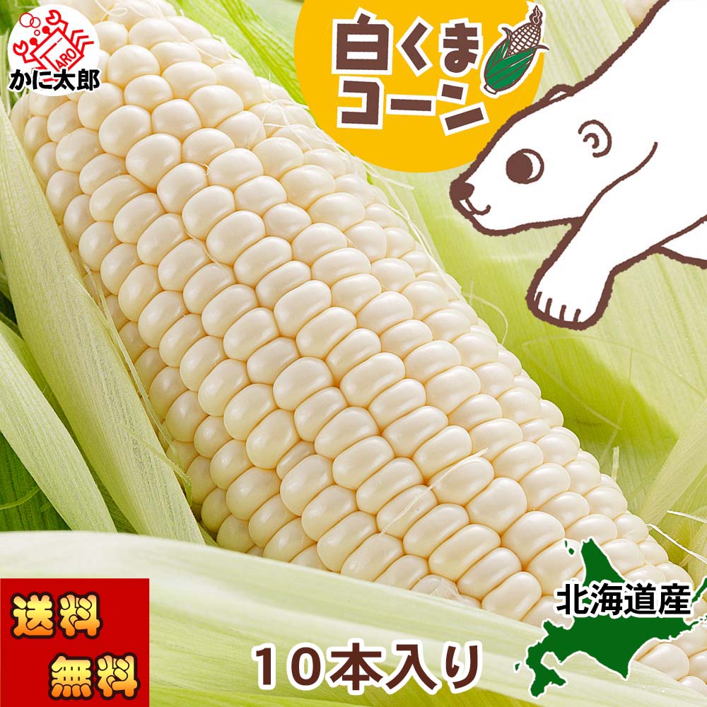白いとうもろこし　白くまコーン かに太郎