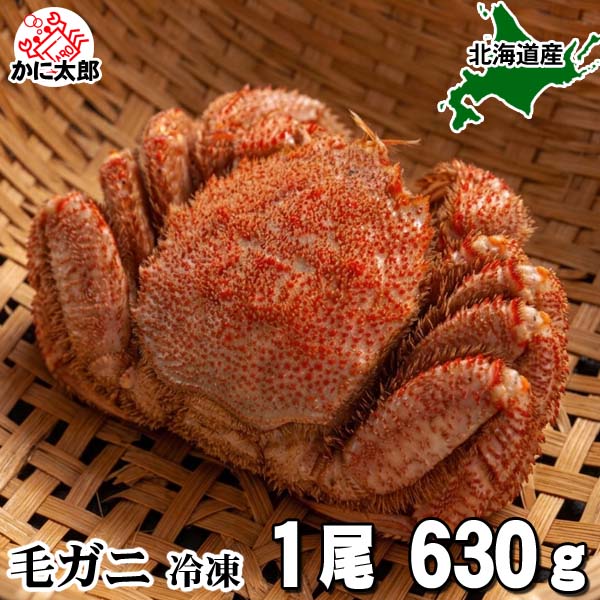 蟹ボンバー 大型の毛ガニ 濃厚な味噌と身の入り