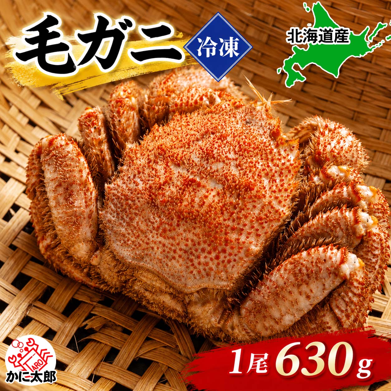 大型の毛ガニ 濃厚な味噌と身の入り