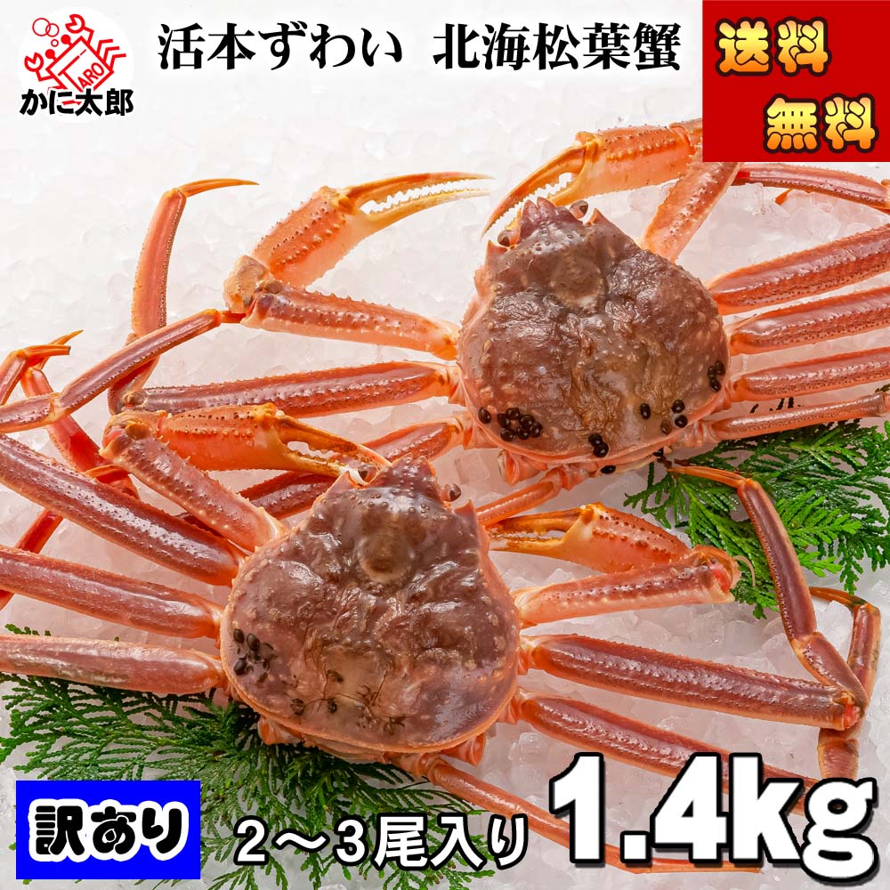 訳あり活ずわいがに かに太郎