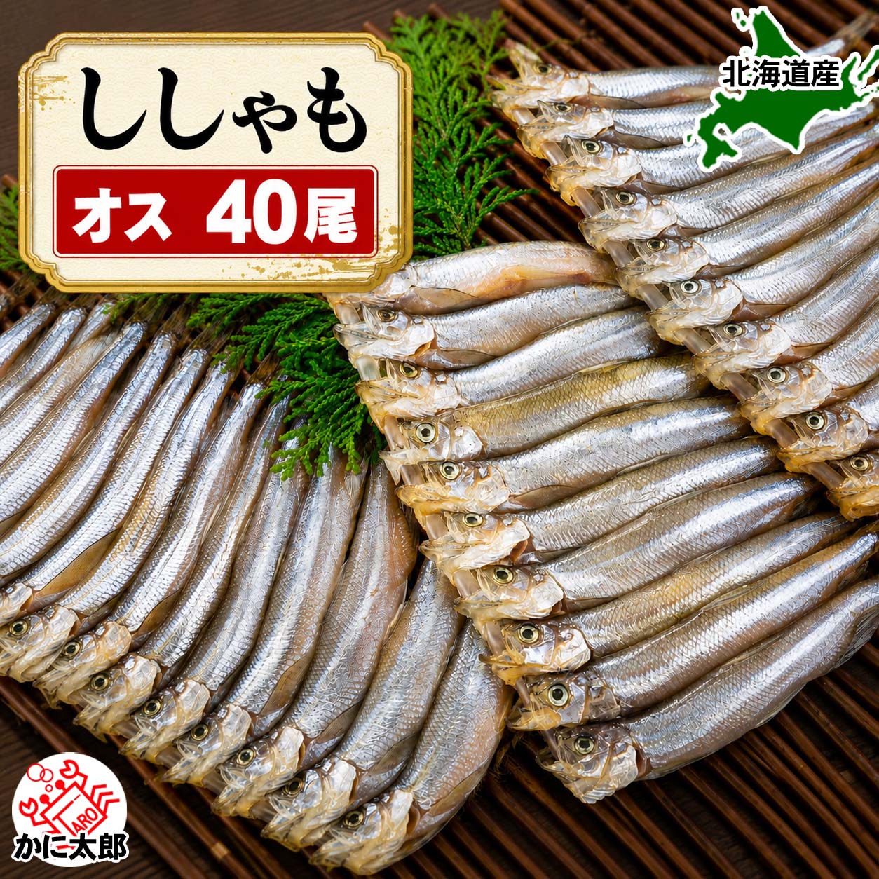 雄ししゃも かに太郎 雄ししゃも かに太郎