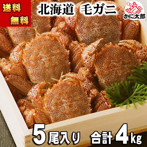 毛蟹　オホーツク産 かに太郎