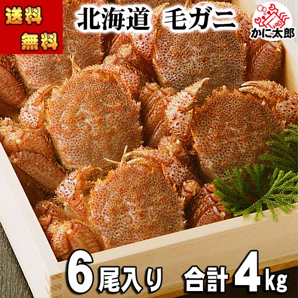 毛蟹　オホーツク産 かに太郎