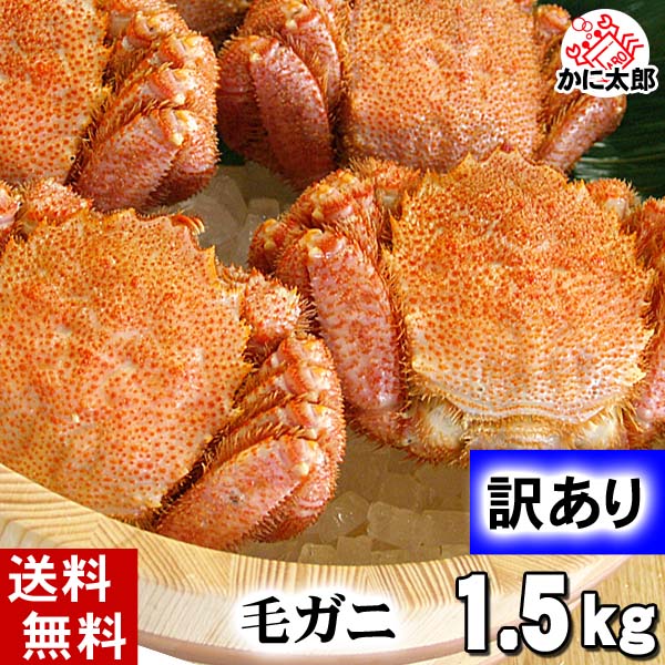 訳あり】規格外 ダシ用ボイル冷凍小サイズ毛蟹 2kg（1kgあたり6〜7杯）