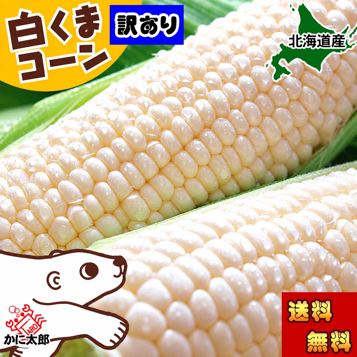 白いとうもろこし　白くまコーン かに太郎