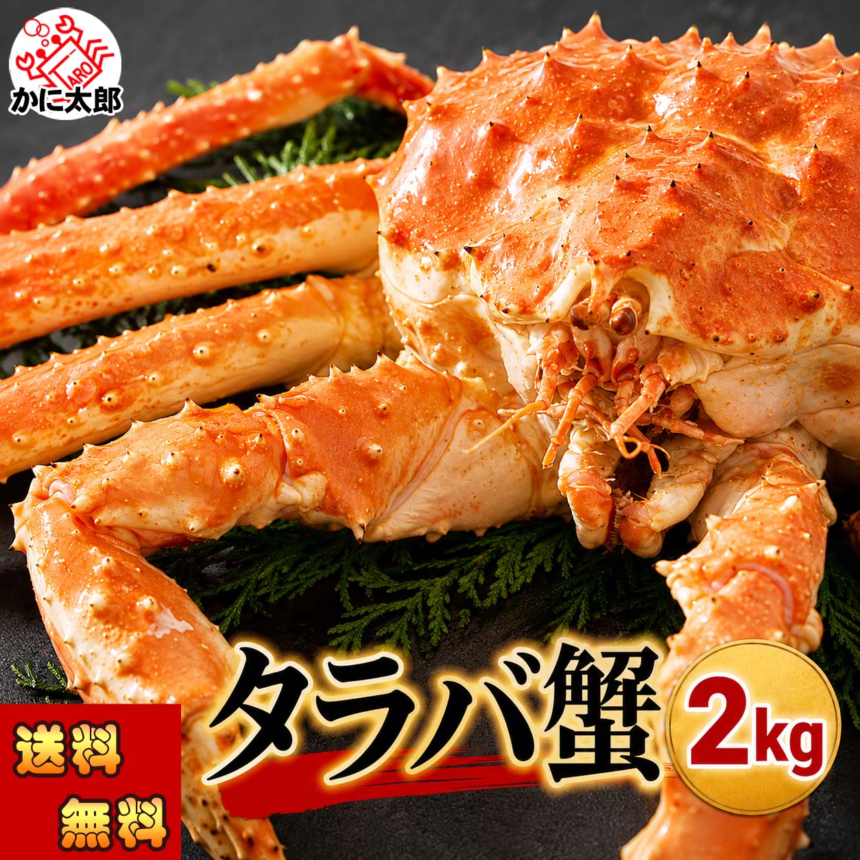 タラバガニ姿、ギフトにお勧め かに太郎