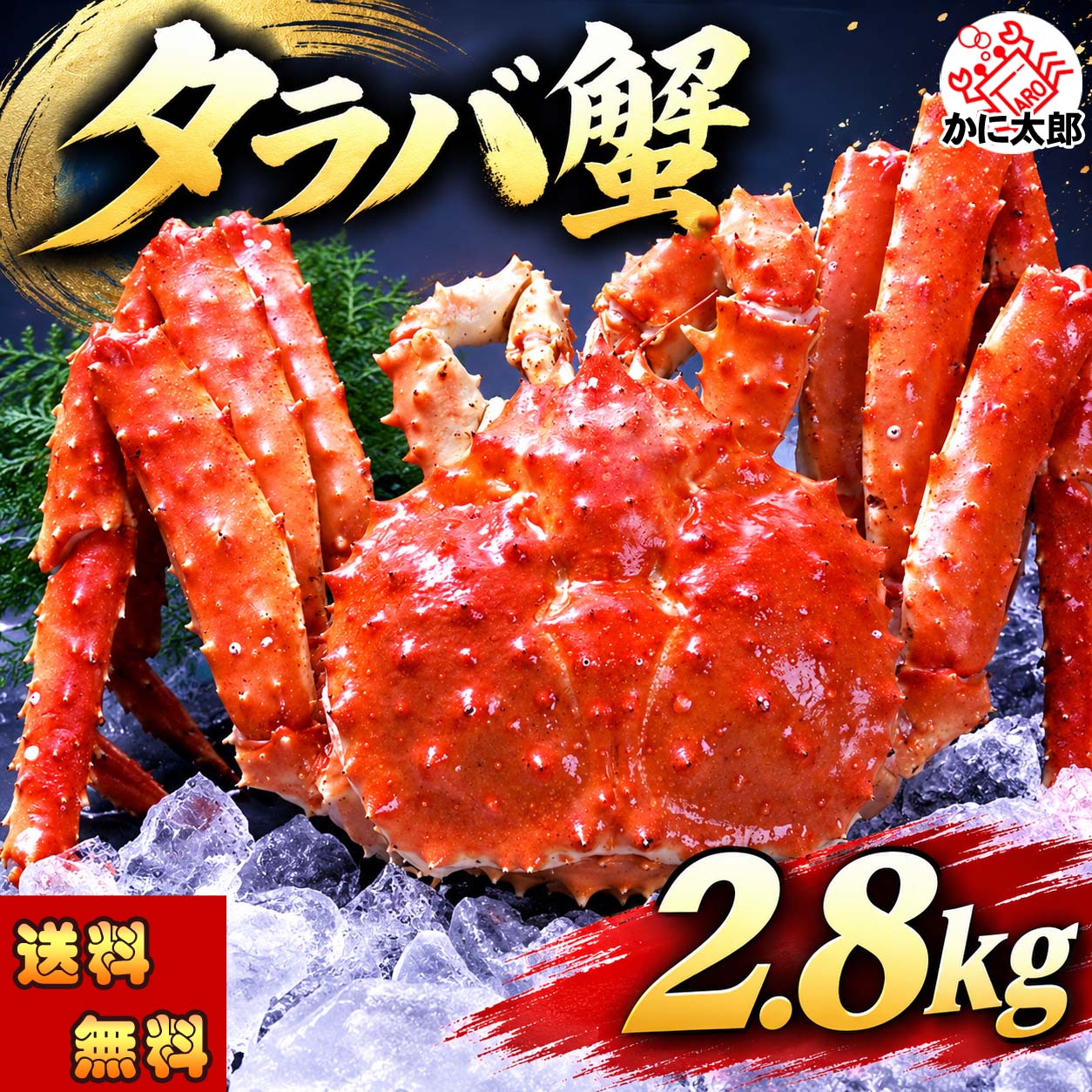 たらば蟹姿 かに太郎