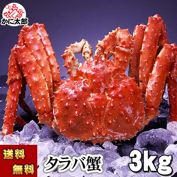 特大たらばがに かに太郎