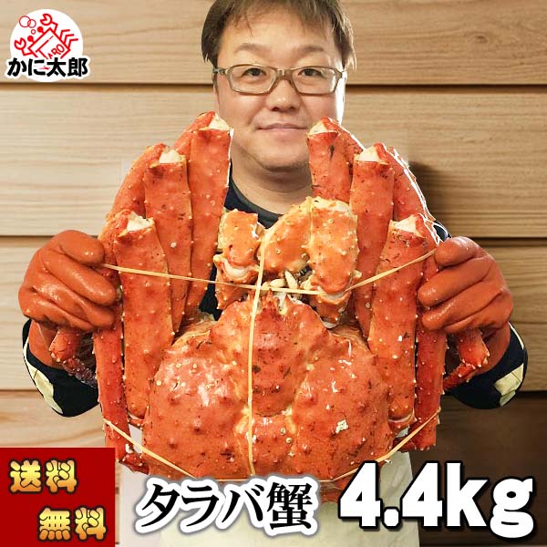 タラバガニ姿　3キロ　ボイル冷凍 浜ゆでたらばがに姿 3.7kg（たらばがに：北海道産・ボイル冷凍