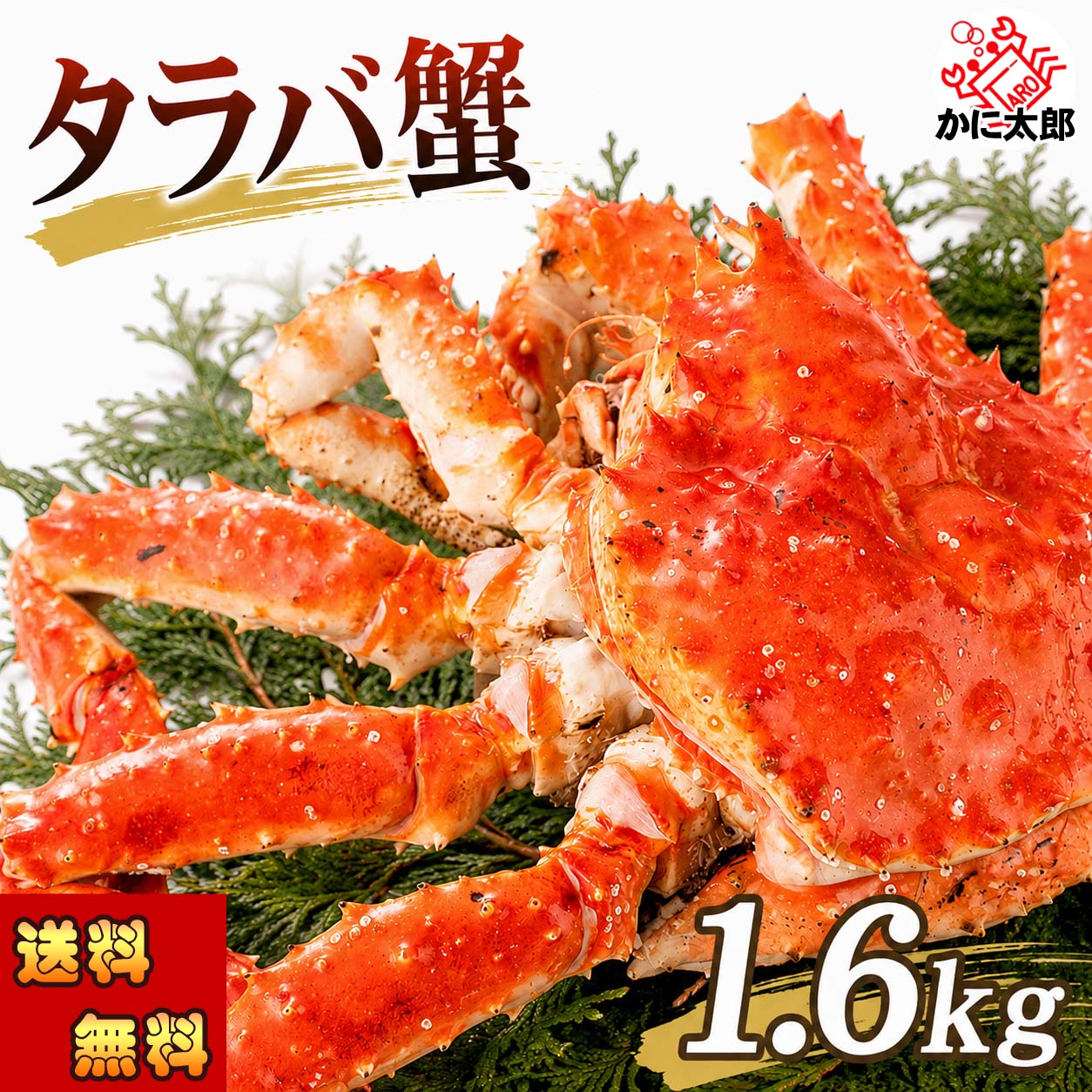 タラバガニ姿 ボイル冷凍 蟹通販